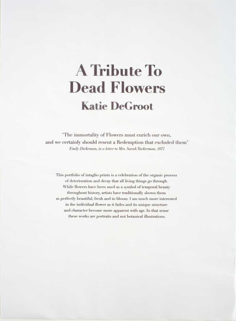 A Tribute to Dead Flowers