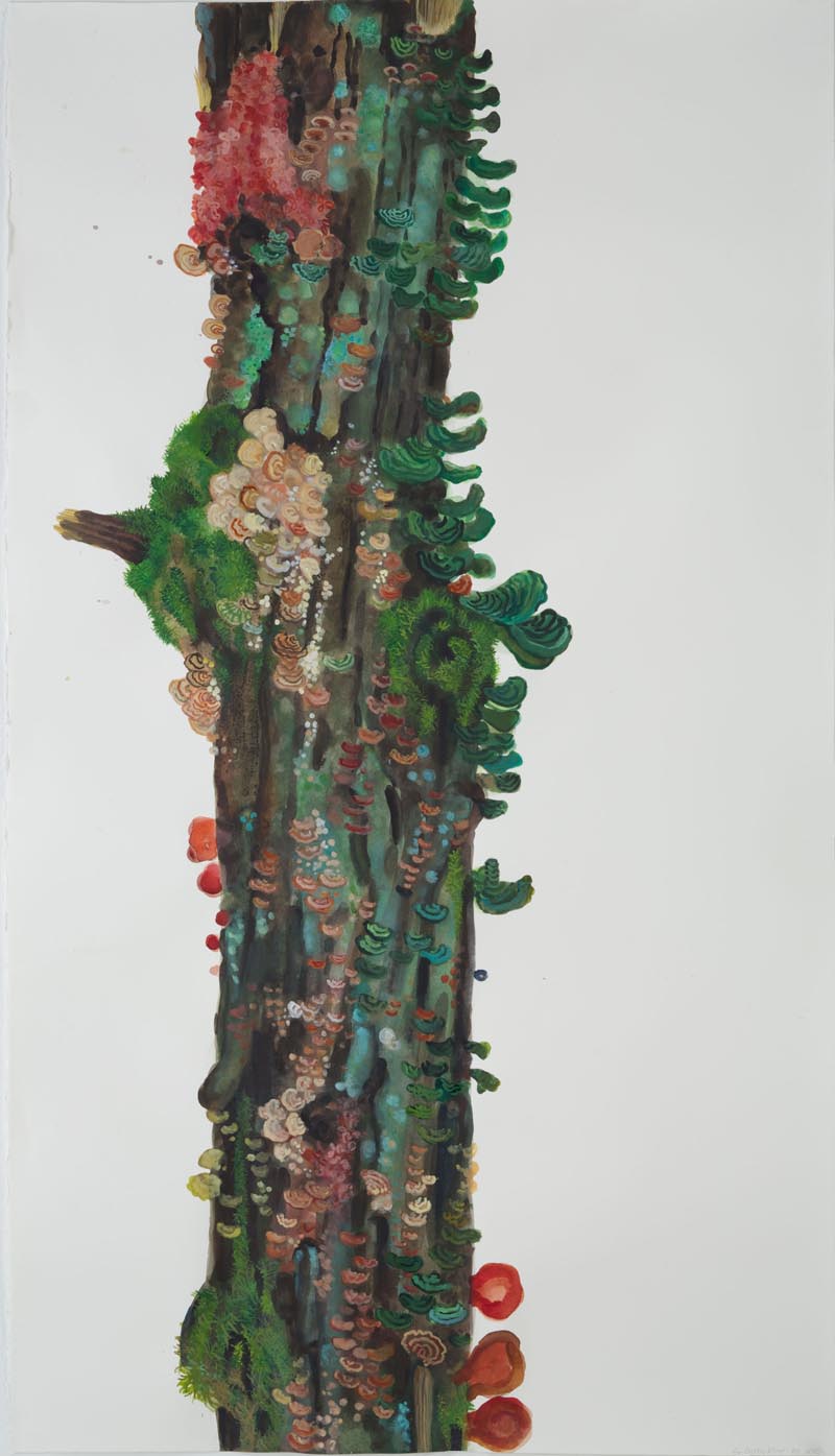 For G. Klimt (2013)